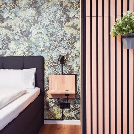 Stycoz - Modern 5 - *