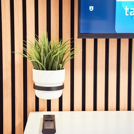 Stycoz - Modern 5 - Κέμπτεν