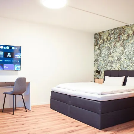 Stycoz - Modern 5 - *